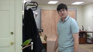 World Record 20 Parrot Tricks in 2 Minutes - Kili Senegal Parrot