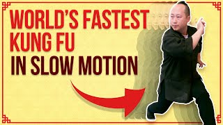 7 Star Praying Mantis Beng Bu Form Demo - TOO FAST? Watch Slow Mo