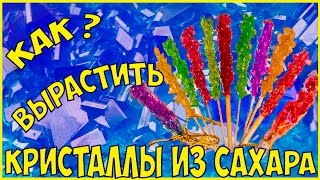 Как вырастить кристаллы из Сахара в домашних условиях // Опыт - DIY съедобные леденцы проект 3 класс