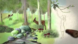 Journée internationale des forêts 2014