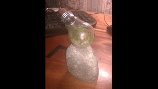 Как сделать террариум своими руками / How to make a terrarium with your own hands