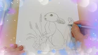 Jak nakreslit zajíčka? How to Draw a Rabbit ?