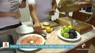Higos de Cebolla (Toledo).  Ancha es Castilla - La Mancha.