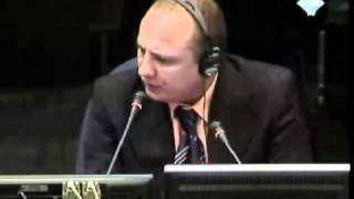 Војислав Шешељ - Сведок (Т) Горан Стопарић 15/76