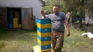 Вулик на 145 рамку. Фарбування і підготовка до заселення. Улей на 145 рамку.