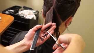 A line Bob Haircut // Short Hair Tutorial // Hair 101