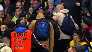 Драка во время матча Украина - Словения