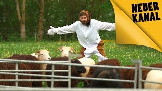 Challenge "Das schaffst du nie": Schäferhund spielen || PULS