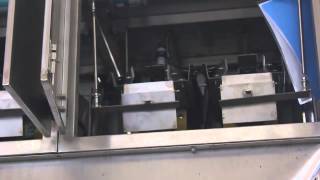 Granule packaging machine: Vertical Packaging Machine