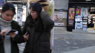 JHKTV] 신촌 명물고양이코로나바이러스무서버shin chon special cat Cronavirs scary