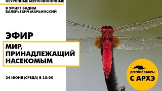 Детский эфир "Мир, принадлежащий насекомым" в рамках рубрики "Неурочные беспозвоночные"