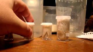 Review : Swift Inverts
