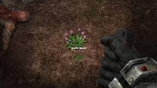 S.t.a.l.k.e.r Время Альянса 3 Связь Времен. Цветок жизни для Белого Волка.