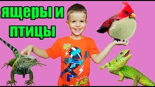 Кто красивее? ЯЩЕРИЦЫ ИЛИ ПТИЦА? ЯЩЕРИЦЫ ИГУАНЫ РЕЗИНОВЫЕ и розовая птица Видео для детей