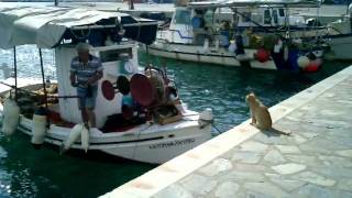 Μήλο μου κόκκινο, Milo mou kokkino