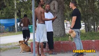 Free Crack In the Hood Prank!