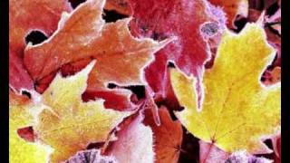 Farfalle come foglie in autunno