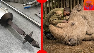Last Male Northern White Rhino Dies & Giant Space Harpoon - 7 Days of Science