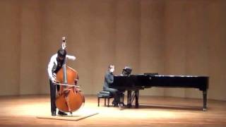 Zigeunerweisen Gypsy Airs/ kontrabass