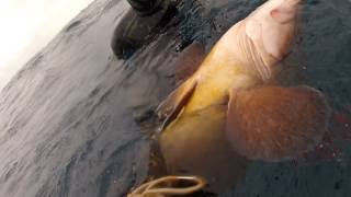 LA PESCA DEL MERO