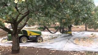 Η δονητική Σαύρα Β411 στη συλλογή φιστικιάς με εξαιρετική άνεση!