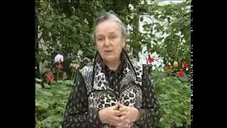 Садовник рекомендует №32 от 12 декабря
