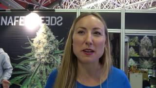 Spannabis 2017 - Dinafem Seeds