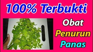 100% TERBUKTI!! Cara Menurunkan Demam Anak Dengan Cepat I Khasiat Daun Pare
