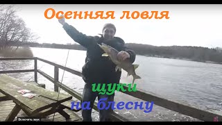 Осенняя ловля щуки на блесну.  Pike fishing lure,    Lake Denmark,  fishing