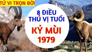 8 ĐIỀU THÚ VỊ VỀ TUỔI KỶ MÙI - 1979 SỰ NGHIỆP TÍNH CÁCH VẬN MỆNH NGƯỜI TUỔI MÙI TỬ VI 12 CON GIÁP