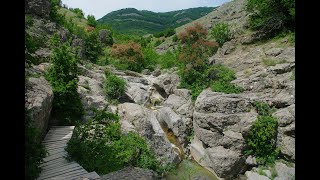 Крым. Зеленогорье. Арпатский каньон 09.06.17