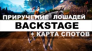 Black Desert - Приручение лошадей - Backstage - пригорело - Epic FAIL