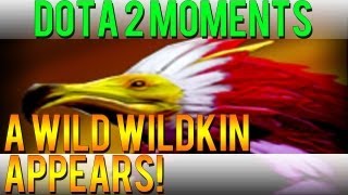 Dota 2 Moments - A Wild Wildkin Appears!