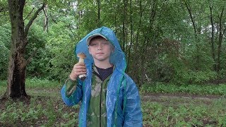 СКАЗОЧНЫЙ поход по ГРИБЫ! ИЮЛЬ 2019.