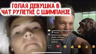 Голая девушка в чат рулетке с Шимпанзе / Рассказали жуткую историю про избиение обезьян