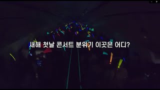 [풀영상] 기내를 콘서트장으로 만들어버린 새해 카운트다운 이벤트 현장