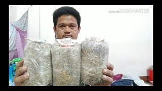 จะพามาดูก้อนเชื้อเห็ดฟางที่ดีเป็นยังไฮ