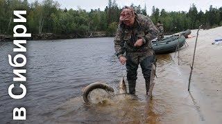 Готовим щуку на костре!