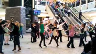 Tara School of Irish Dance - St. Pat's Flash Mo