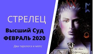 Стрелец. Высший суд. Февраль 2020