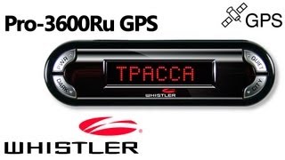 Whistler Pro-3600Ru GPS — радар-детектор (антирадар) — видео обзор 130.com.ua