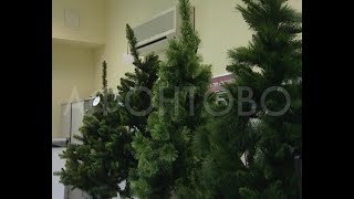 Новогодние елки и гирлянды могут быть опасны для здоровья