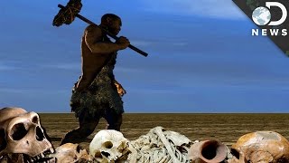 What Killed Off The Neanderthals?