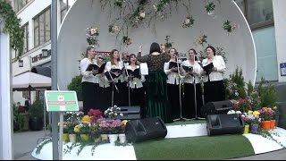 АЛЛА КОВНИР И ХОР "ХОРАЛ"- "АВЕ МАРИЯ" ОЛЕГА МОЛЧАНОВА ВЫСТУПЛЕНИЕ НА ТВЕРСКОЙ