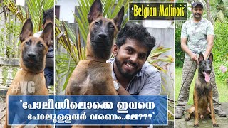 രാജ്യാന്തര  പോലീസ്  /  മിലിട്ടറി ഫോഴ്സ് ൻറെ ഇഷ്ട ബ്രീഡ് .