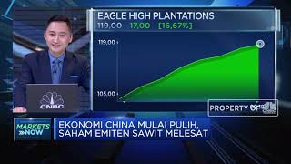 Ekonomi China Mulai Pulih, Saham Emiten Sawit Melesat Naik