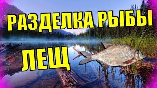 Разделка рыбы Лещ