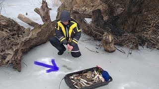 РЫБАЛКА В ЭТОМ КОРЯЖНИКЕ СВЕДЕТ С УМА ЛЮБОГО!