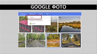 Google фото синхронизация смартфона с компьютером