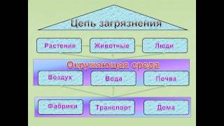 презентация экологическая безопасность 3 класс